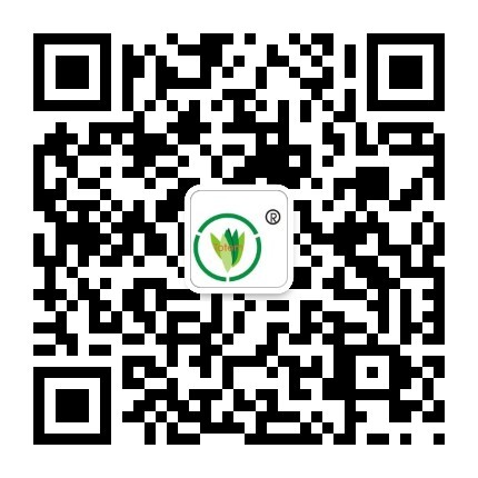 &#19975;&#35937;&#22478;&#40;&#20013;&#22269;&#41;&#87;&#97;&#110;&#120;&#105;&#97;&#110;&#103;&#99;&#104;&#101;&#110;&#103;